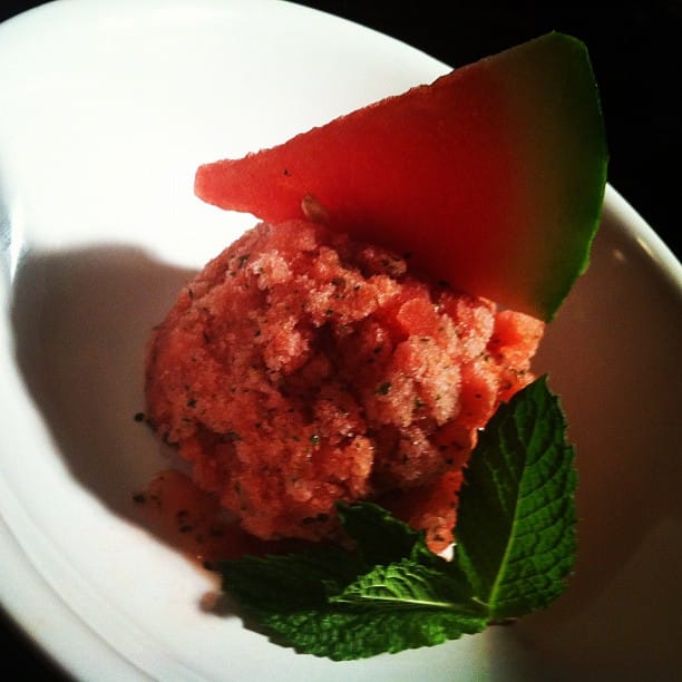 Watermelon, Mint, Lime, Honey Sorbet fastPaleo