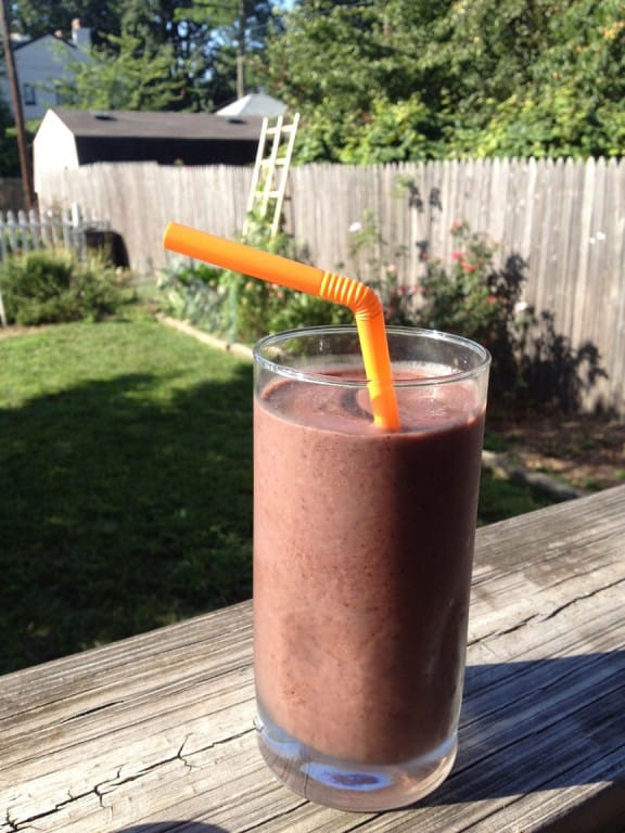 Pumpkin Blueberry Protein Smoothie fastPaleo