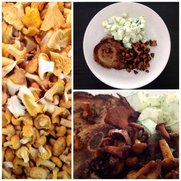 Butter Fried Chanterelles fastPaleo