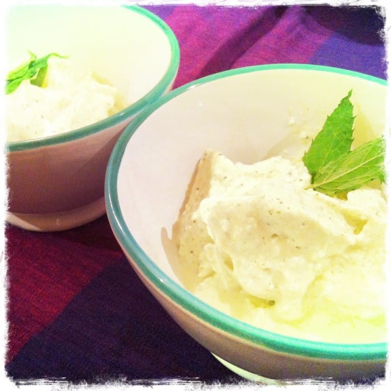 Pineapple, Coconut and Mint Gelato fastPaleo