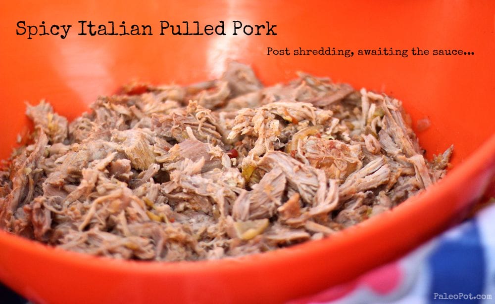Spicy Italian Pulled Pork with Italian Gravy fastPaleo