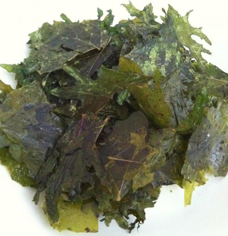 Easy Dill Pickle Kale Chips fastPaleo