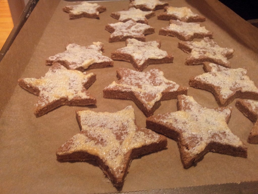 German Cinnamon Star Cookies fastPaleo